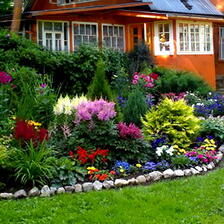 0500w841-31f1-224x224.jpg