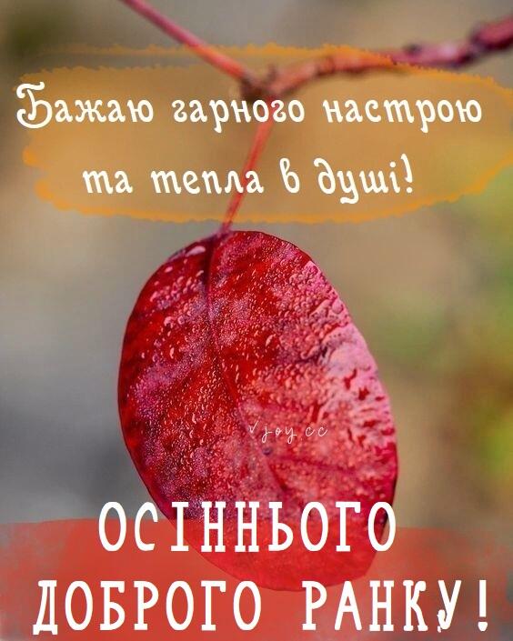 Красиві картинки - Доброго осіннього ранку! (80 фото)