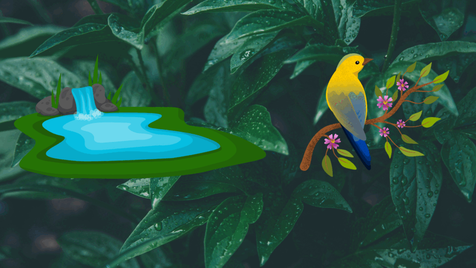 0500w8y7-dcf6-940x529.png