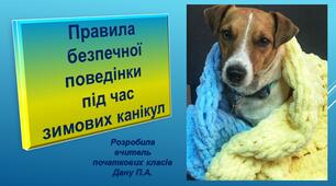 Презентація "Правила безпечної поведінки під час зимових канікул від Патрона"