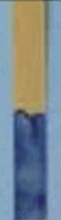 0500wd5a-dcb8-61x220.png