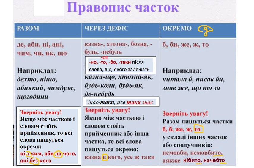 0500wddo-748a-855x565.png