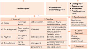 Практична робота № 3. Визначення основних зернових і технічних культур, що їх вирощують у помірному, субтропічному й тропічному кліматичних поясах, та обґрунтування встановлених відмінностей