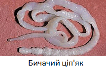 0500wf3l-0bc2-215x142.png