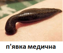 0500wf3r-1796-206x174.png