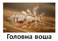 0500wf3w-c467-197x141.png