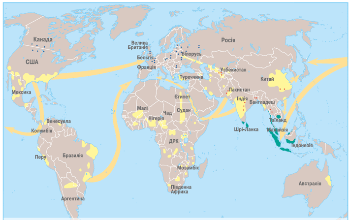 0500wfbh-ffd6-709x447.png
