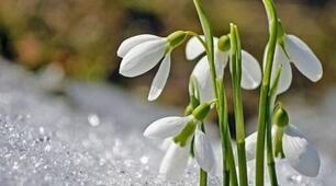 Im Frühling 