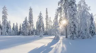 Зима