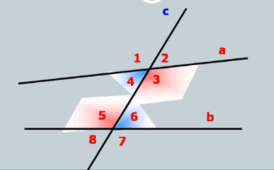 0500wo42-cf39-274x170.png