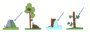 0500wqno-d339-292x104.png