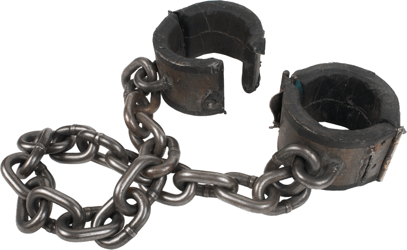 0500wr2w-8367-798x491.png