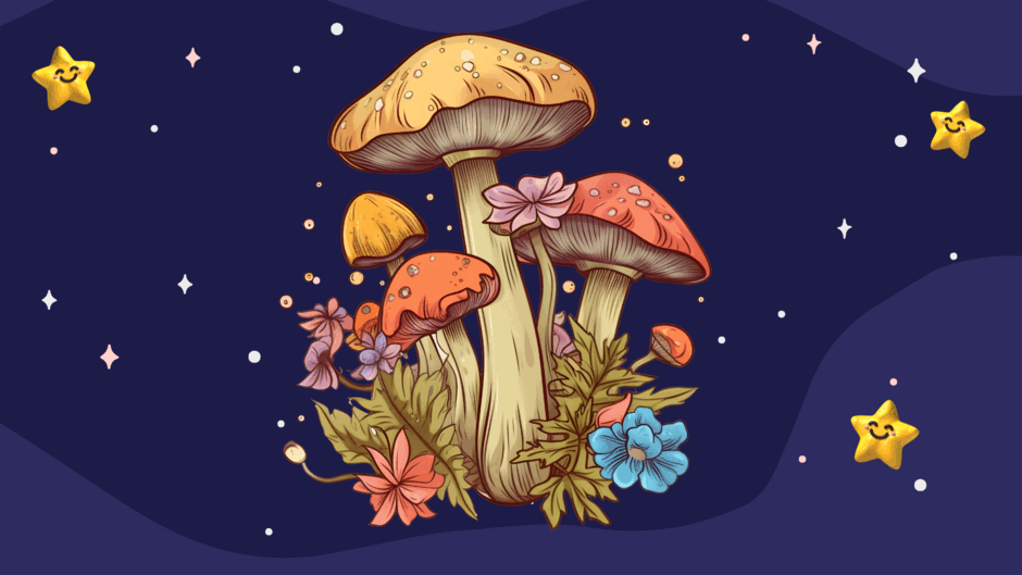 0500wu9a-da09-940x529.png