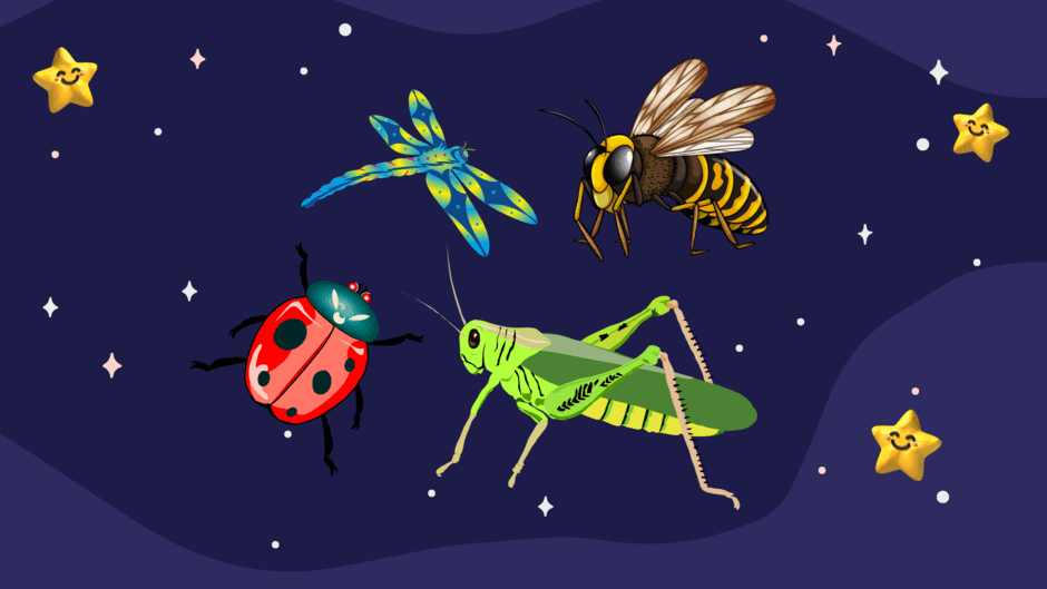 0500wua0-ba2e-940x529.png