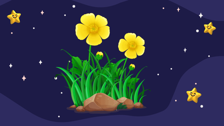 0500wua6-d5cb-940x529.png