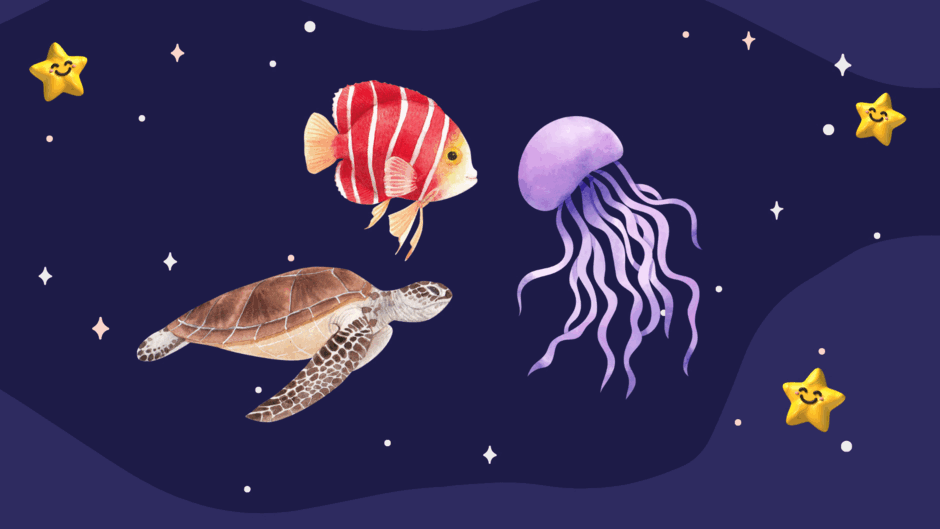 0500wudv-a641-940x529.png