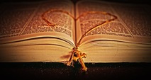 Безкоштовне стокове фото на тему «Біблія, великий план, впритул» стокове фото