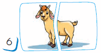 0500ww5k-46d5-206x109.png