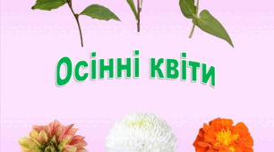 Ілюстративний навчально-ігровий матеріал до теми "Осінні квіти"