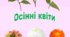 Ілюстративний навчально-ігровий матеріал до теми "Осінні квіти"