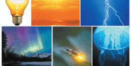 0500wx8v-c2e1-268x135.png