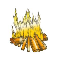 Vetor De Cor De Lenha Queima Tradicional PNG , Clipart Da Fogueira, Fogueira, Tradicional Imagem PNG e Vetor Para Download Gratuito