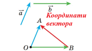 Координати вектора