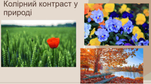 Гармонія і композиція у творах мистецтва. Натюрморт