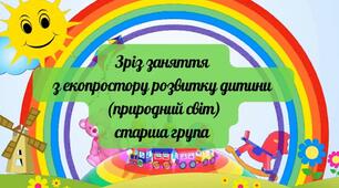 Зріз заняття з екопростору розвитку дитини (природний світ) "На лісовій галявині: їстівні і отруйні гриби" старша група