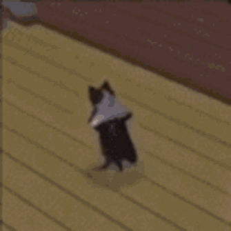 0500x7fa-64a0-335x335.gif