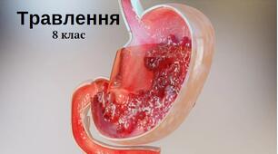 Узагальнення з теми "Травлення"