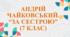 Андрій Чайковський. "За сестрою" (7 клас)