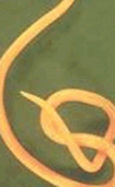 0500x9xs-e16c-105x171.png