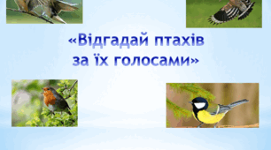 Гра "Відгадай птахів за їх голосами"