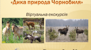 Віртуальна екскурсія "Дика природа Чорнобиля"