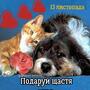 https://fs05.vseosvita.ua/0500xdaz-62ea-90x90.jpg