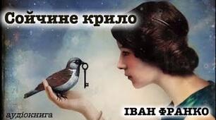 Цитатний диктант на тему "Іван Франко. Новела "Сойчине крило"