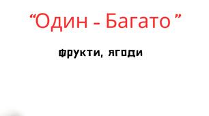 Дидактична гра "Один - багато" (Логіко-математичне заняття), (ІІ молодша група, середня група)