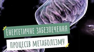 Енергетичне забезпечення процесів метаболізму. 