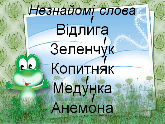 0500xmvp-b6db-529x397.png