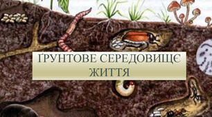 Грунтове середовище існування