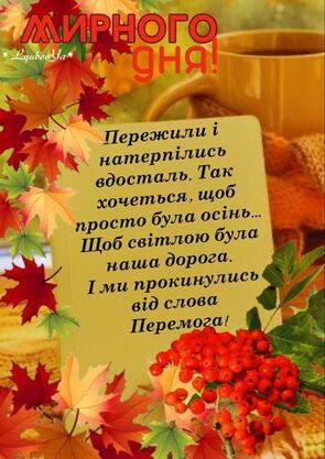 0500xpx7-1fa6-295x417.jpg