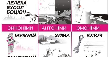 Синоніми, антоніми, омоніми