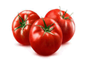 0500xra8-7066-127x89.png