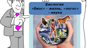 Узагальнення знань з теми Членистоногі. Молюски.