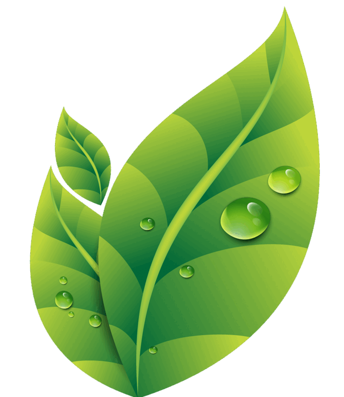 0500xumb-a903-694x800.png
