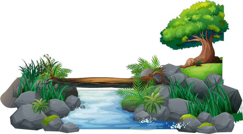 0500xunt-7973-800x442.png