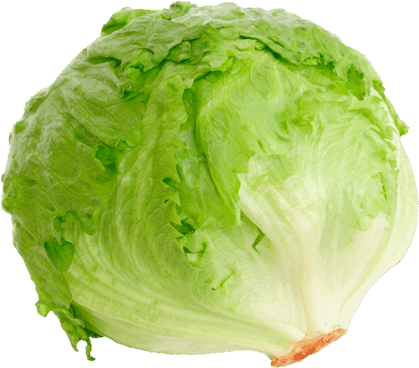 0500xurh-9c20-600x527.png