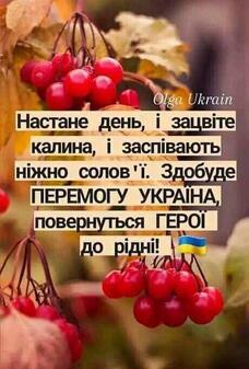 0500xxdf-2dfd-228x337.jpg