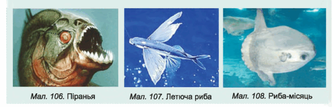 0500xzc8-29f2-648x209.png